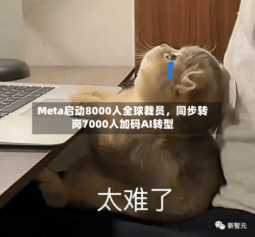 Meta启动8000人全球裁员，同步转岗7000人加码AI转型-第1张图片