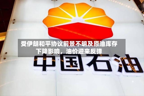 受伊朗和平协议前景不明及原油库存下降影响，油价迎来反弹-第3张图片