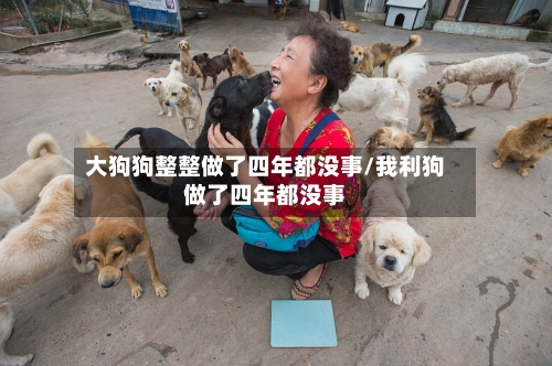 大狗狗整整做了四年都没事/我利狗做了四年都没事-第1张图片