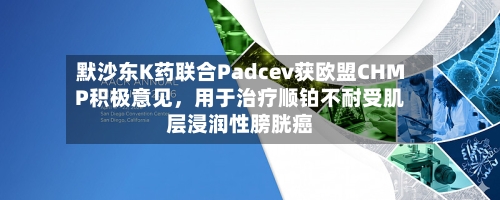 默沙东K药联合Padcev获欧盟CHMP积极意见，用于治疗顺铂不耐受肌层浸润性膀胱癌-第1张图片