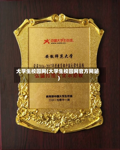 大学生校园网(大学生校园网官方网站)-第2张图片
