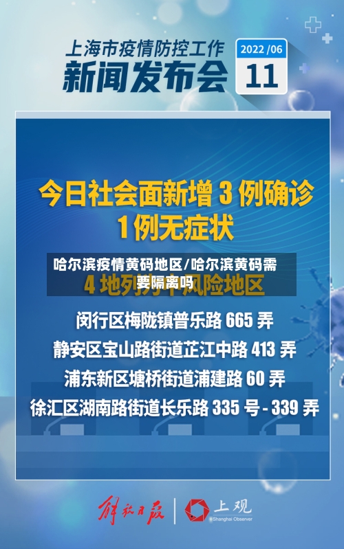 哈尔滨疫情黄码地区/哈尔滨黄码需要隔离吗-第2张图片