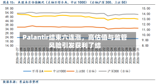 Palantir结束六连涨，高估值与监管风险引发获利了结-第2张图片