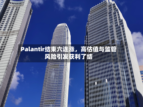Palantir结束六连涨，高估值与监管风险引发获利了结-第3张图片
