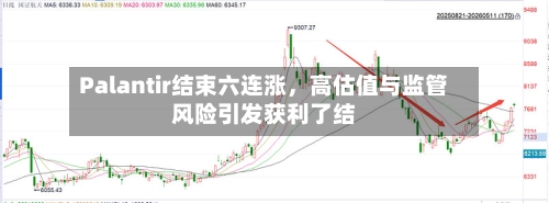 Palantir结束六连涨，高估值与监管风险引发获利了结-第1张图片