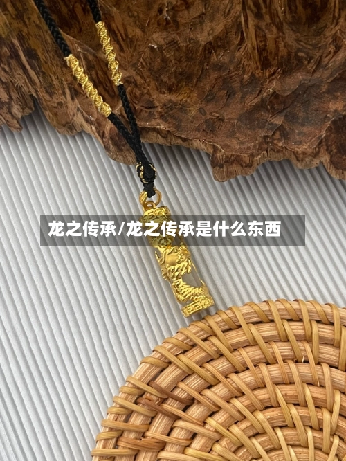 龙之传承/龙之传承是什么东西-第2张图片