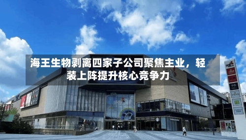 海王生物剥离四家子公司聚焦主业，轻装上阵提升核心竞争力-第3张图片