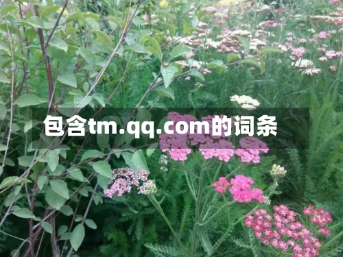 包含tm.qq.com的词条-第2张图片