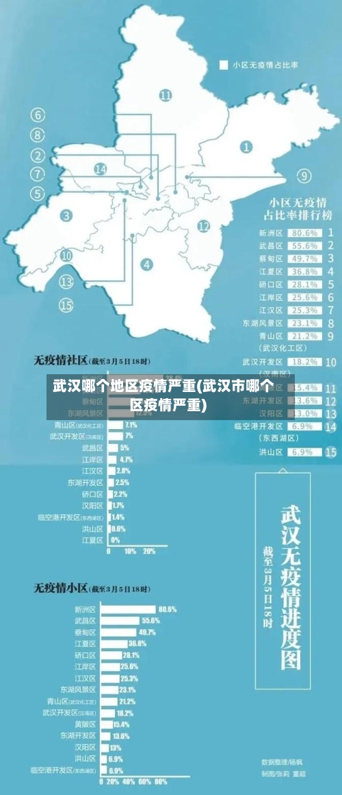武汉哪个地区疫情严重(武汉市哪个区疫情严重)-第1张图片