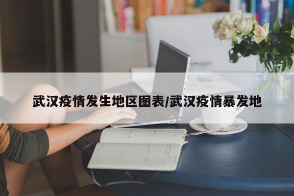 武汉疫情发生地区图表/武汉疫情暴发地