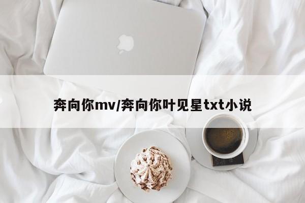 奔向你mv/奔向你叶见星txt小说