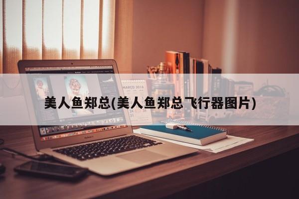 美人鱼郑总(美人鱼郑总飞行器图片)