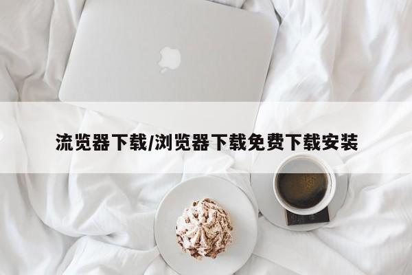 流览器下载/浏览器下载免费下载安装