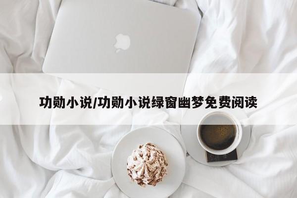 功勋小说/功勋小说绿窗幽梦免费阅读